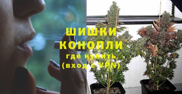 стаф Красноперекопск
